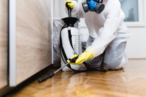 Best Affordable Pest Control Services  in Circleville, OH
