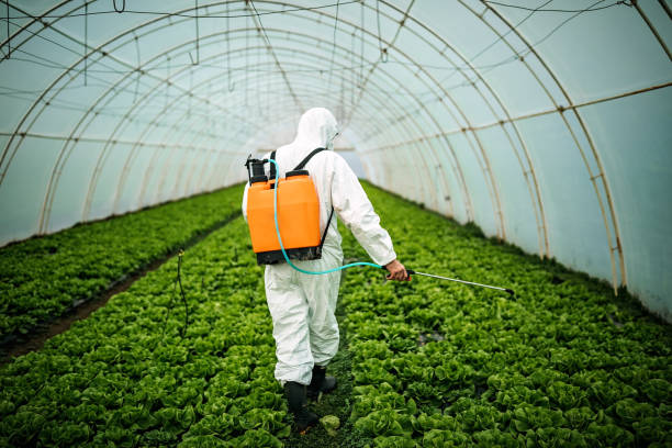Pest Prevention Services in Circleville, OH