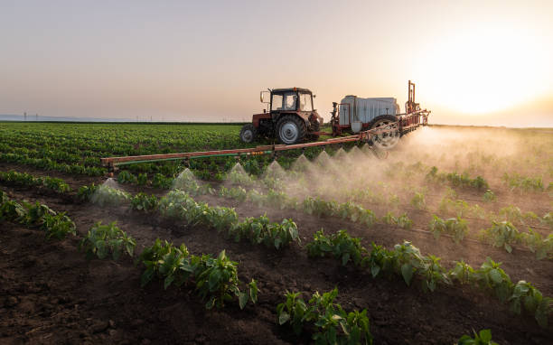 Best Commercial Pest Control Services  in Circleville, OH