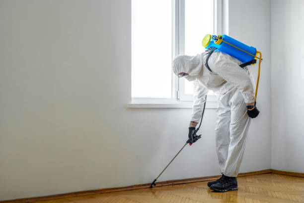 Best Pest Control Near Me  in Circleville, OH