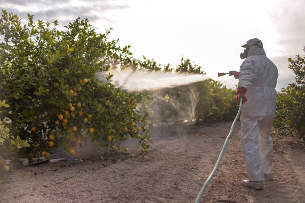 Best Best Pest Control Companies  in Circleville, OH