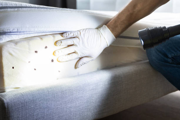 Best Exterminator Services  in Circleville, OH