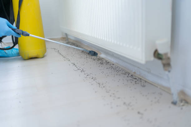 Best Wildlife Control Services  in Circleville, OH