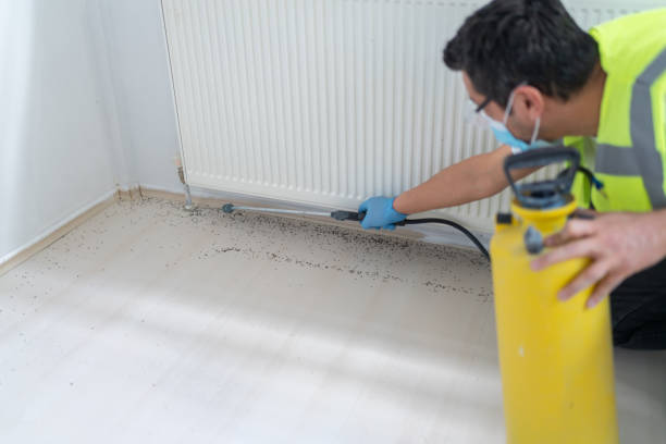 Best Affordable Pest Control Services  in Circleville, OH